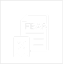 Offshore Assets FBAR Filing icon