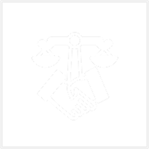 IRS Investigations icon