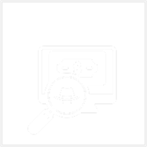 Tax Fraud Investigations