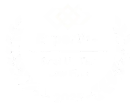 Silver Tax Group awarded the best US tax law firm in 2025.
