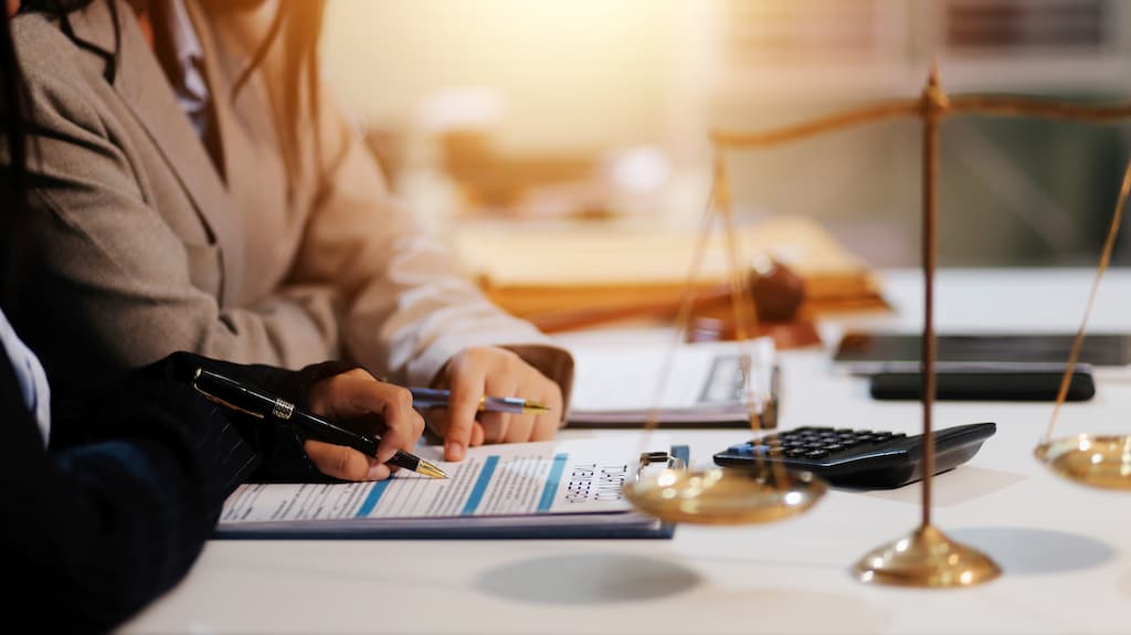 Tax litigation experts